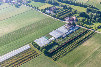 Dieter Schmeißer Cut Green in Vollmersweiler in the state Rhineland-Palatinate, Germany
