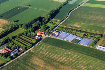 Aerial view of Greenhouses of a horticultural company in Vollmersweiler in the state Rhineland-Palatinate, Germany