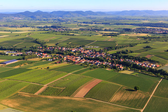 Village view from the south in Dierbach in the state Rhineland-Palatinate, Germany