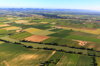 Construction site of the EnBW wind farm Freckenfeld - for wind turbine with 6 wind turbines in Freckenfeld in the state Rhineland-Palatinate, Germany
