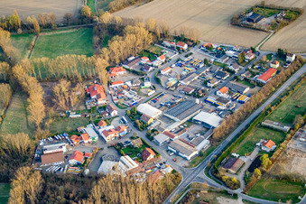 In the reed bed in Altrip in the state Rhineland-Palatinate, Germany