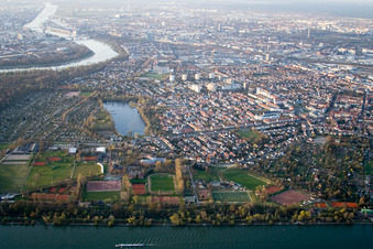 Oblique view of Town View of the streets and houses of the residential areas in Altrip in the state Rhineland-Palatinate