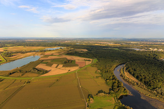 Polder dam between the Old Rhine south of Jockgrim and the quarry lake at Streitgraben in Jockgrim in the state Rhineland-Palatinate, Germany