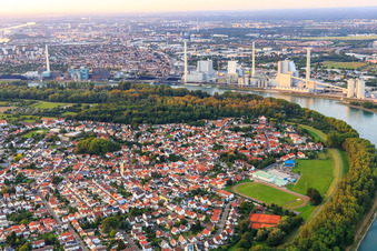 Aerial view of View of the town opposite the GKM on the banks of the Rhine from the south in Altrip in the state Rhineland-Palatinate, Germany