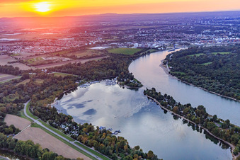 Kiefweiher on the Rhine at sunset with Sportboot-Club Ludwigshafen/Rhein and MCP Yacht Club and Restaurant Ludwigshafen in the district Rheingönheim in Ludwigshafen am Rhein in the state Rhineland-Palatinate, Germany