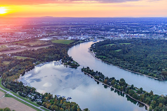 Oblique view of Kiefweiher on the Rhine at sunset with Sportboot-Club Ludwigshafen/Rhein and MCP Yacht Club and Restaurant Ludwigshafen in the district Rheingönheim in Ludwigshafen am Rhein in the state Rhineland-Palatinate, Germany