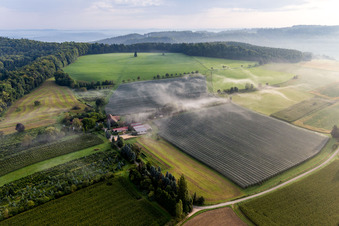 Fruit plantations under protective nets in the district Güttingen in Radolfzell am Bodensee in the state Baden-Wuerttemberg, Germany