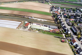 Kugelmann organic farm in Kandel in the state Rhineland-Palatinate, Germany