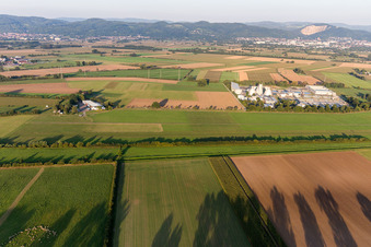 Sewage treatment plant of the Bergstraße Wastewater Association in Weinheim in the state Baden-Wuerttemberg, Germany