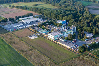 Oblique view of Süpro GmbH in the district Hüttenfeld in Lampertheim in the state Hesse, Germany