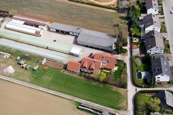 Kugelmann organic farm in Kandel in the state Rhineland-Palatinate, Germany from above