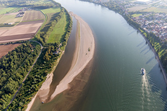 Sandbank in the Rhine in the district Nordheim in Biblis in the state Hesse, Germany