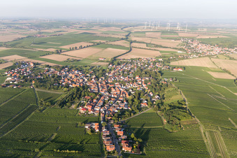 District Dittelsheim in Dittelsheim-Heßloch in the state Rhineland-Palatinate, Germany from above