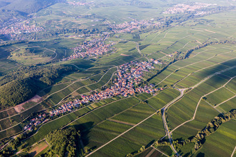 Village - view between wine yards in Ranschbach in the state Rhineland-Palatinate, Germany