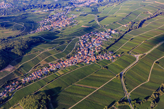 Aerial view of Wine-growing village between vineyards on the edge of the Haardt from the southwest in Ranschbach in the state Rhineland-Palatinate, Germany