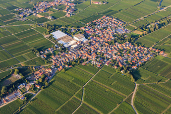 Wine-growing village with sparkling wine cellar Schloss Wachenheim AG between vineyards from the southwest in Böchingen in the state Rhineland-Palatinate, Germany