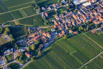 Sawmill Philipp Pfirrmann Söhne eK in Böchingen in the state Rhineland-Palatinate, Germany
