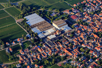 Sparkling wine cellars Schloss Wachenheim AG and Böchinger Schloss in Böchingen in the state Rhineland-Palatinate, Germany