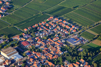 Walsheimer Straße with Zickler GmbH in Böchingen in the state Rhineland-Palatinate, Germany