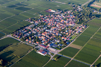 Walsheim in the state Rhineland-Palatinate, Germany