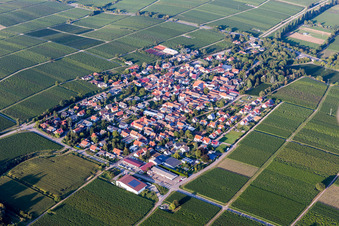 Aerial view of Village - view on the edge of agricultural fields and farmland in Walsheim in the state Rhineland-Palatinate, Germany