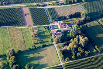 Aerial view of Walsheim in the state Rhineland-Palatinate, Germany