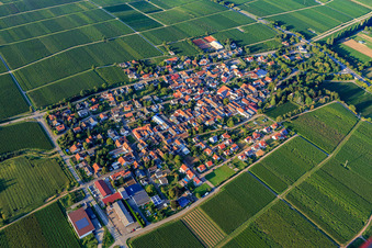 Village view between vineyards from the southwest in Walsheim in the state Rhineland-Palatinate, Germany