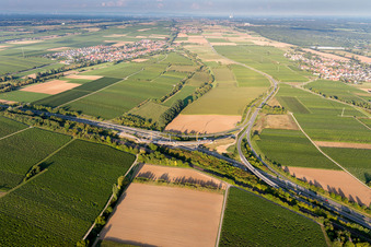 Aerial view of A65 exit Landau-Nord in the district Dammheim in Landau in der Pfalz in the state Rhineland-Palatinate, Germany
