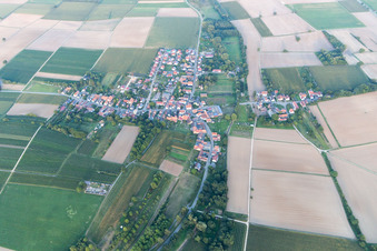 District Kleinsteinfeld in Niederotterbach in the state Rhineland-Palatinate, Germany from above