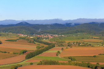 Hedges at Otterbach in Oberotterbach in the state Rhineland-Palatinate, Germany