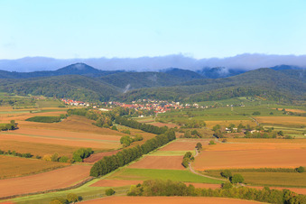 Aerial view of Hedges at Otterbach in Oberotterbach in the state Rhineland-Palatinate, Germany