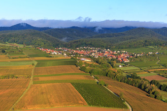 Vineyards and fields on the Otterbach in Oberotterbach in the state Rhineland-Palatinate, Germany