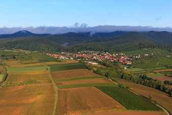 Aerial view of Vineyards and fields on the Otterbach in Oberotterbach in the state Rhineland-Palatinate, Germany