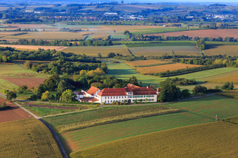 Aerial photograpy of Workshop for hidden talents non-profit GmbH in Haftelhof from the south in Schweighofen in the state Rhineland-Palatinate, Germany