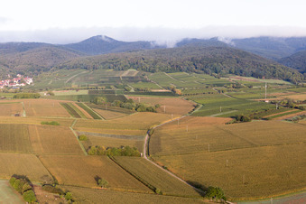 District Rechtenbach in Schweigen-Rechtenbach in the state Rhineland-Palatinate, Germany viewn from the air