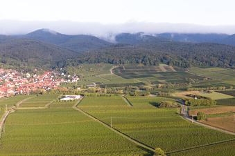 Drone image of District Rechtenbach in Schweigen-Rechtenbach in the state Rhineland-Palatinate, Germany