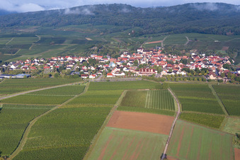 Bird's eye view of District Schweigen in Schweigen-Rechtenbach in the state Rhineland-Palatinate, Germany