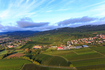 Aerial view of Tobacco shop Zollheisel GmbH, PENNY and dm-drogerie markt at the former border crossing in the district Schweigen in Schweigen-Rechtenbach in the state Rhineland-Palatinate, Germany