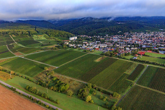Vineyards south of the spa town in Dörrenbach in the state Rhineland-Palatinate, Germany