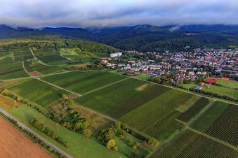 Aerial view of Vineyards south of the spa town in Dörrenbach in the state Rhineland-Palatinate, Germany