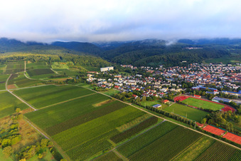 Vineyards south of the spa town in Bad Bergzabern in the state Rhineland-Palatinate, Germany