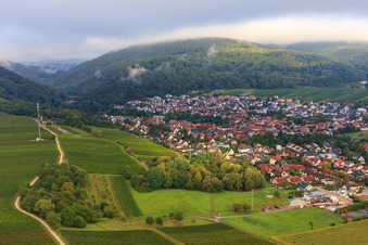 Vineyards on the southern edge of the village in Klingenmünster in the state Rhineland-Palatinate, Germany