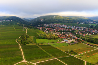 Aerial view of Vineyards on the southern edge of the village in Klingenmünster in the state Rhineland-Palatinate, Germany