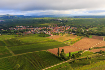 Village view from the south in Göcklingen in the state Rhineland-Palatinate, Germany
