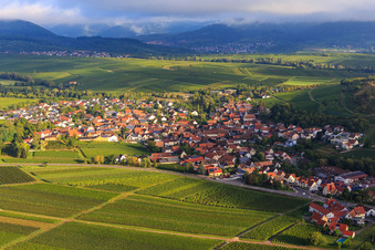 Aerial view of Vineyards on the southern edge of the village in Ilbesheim bei Landau in the state Rhineland-Palatinate, Germany