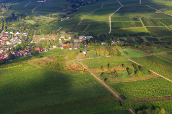 Aerial view of Kleine Kalmit Chapel from the east in the district Arzheim in Landau in der Pfalz in the state Rhineland-Palatinate, Germany
