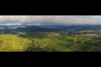 Panorama of the vineyards between Ranschbach and Siebeldingen in the district Arzheim in Landau in der Pfalz in the state Rhineland-Palatinate, Germany