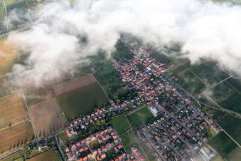 Oblique view of District Dammheim in Landau in der Pfalz in the state Rhineland-Palatinate, Germany