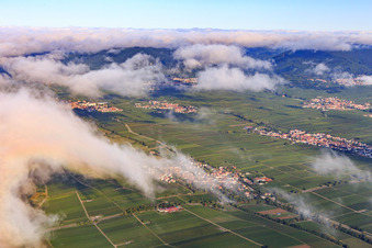 Aerial view of Village view amidst vineyards from the southeast in Walsheim in the state Rhineland-Palatinate, Germany