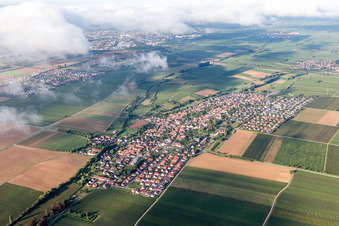 Essingen in the state Rhineland-Palatinate, Germany from above